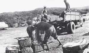 Gedenkboek kry 2de kans